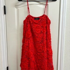 Lulu's Red Lace Mini Formal Dress